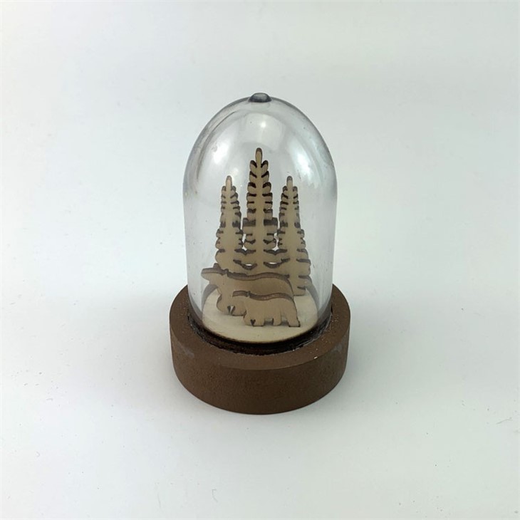 Glass Dome with LED Lights